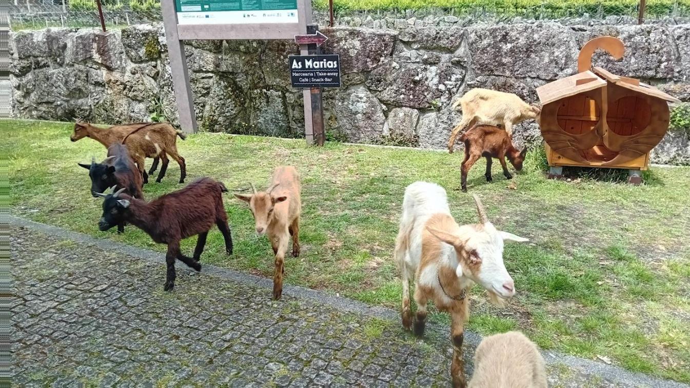 Chalet Do Soajo 아르코스 데 발데베즈 외부 사진